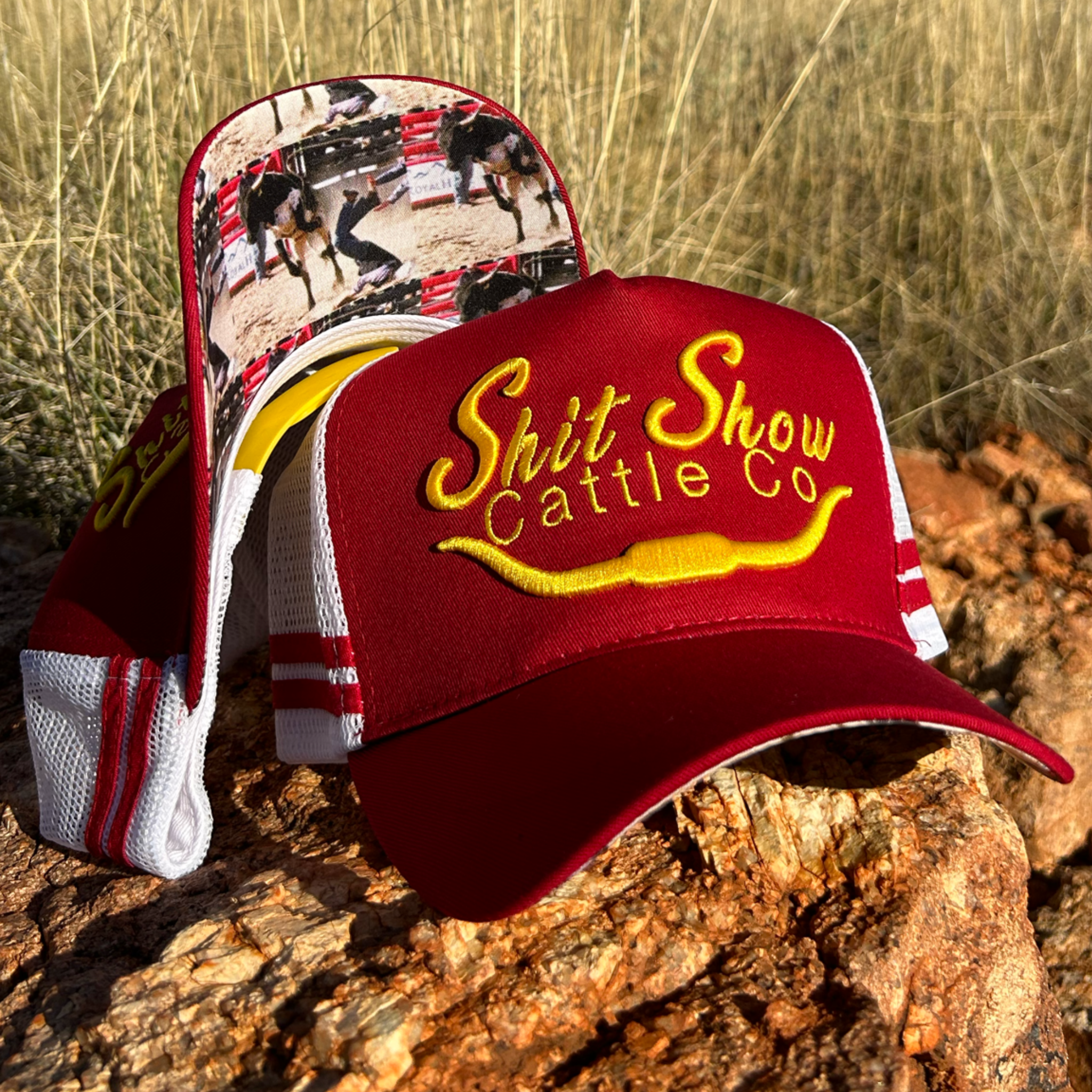 Show cattle hats online