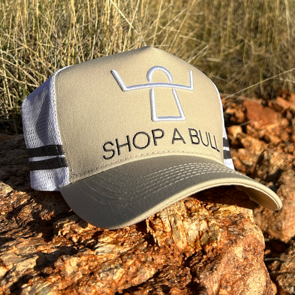 Shop A Bull Trucker Cap - Tan